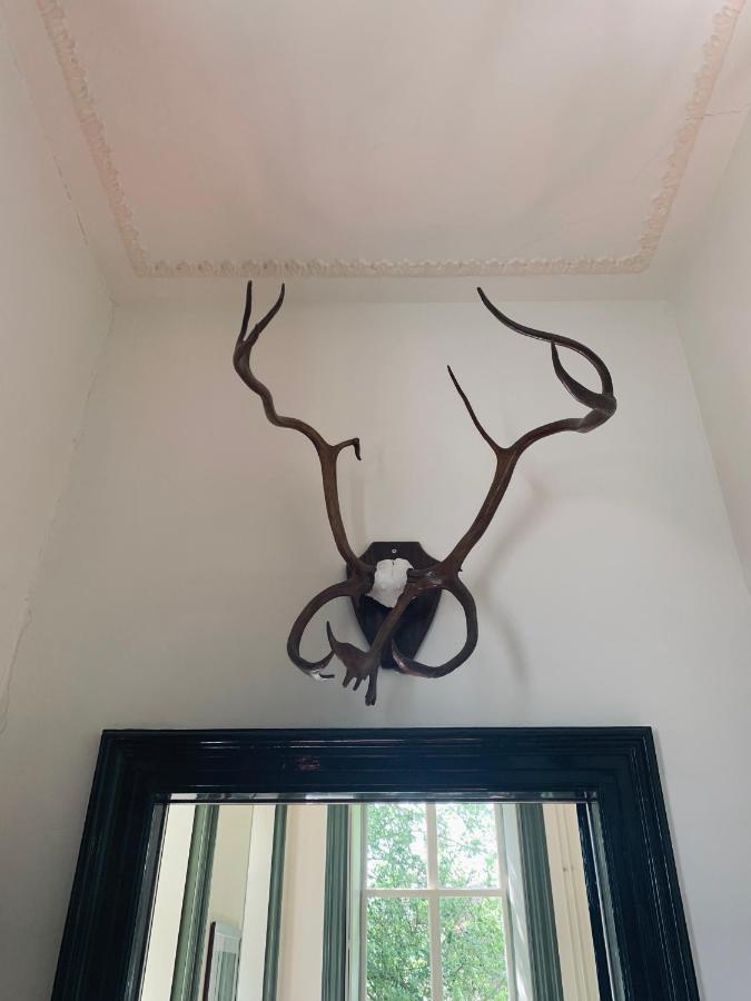 Pastorie Tijdverblijf Zuidhorn ภายนอก รูปภาพ